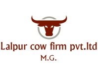 Lalpur cow firm